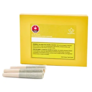 Buy Sundial - Pre-rolled Blue Nova