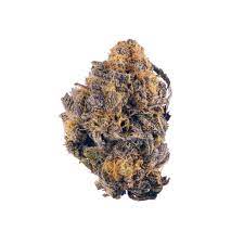Purple Kush Weed Strain