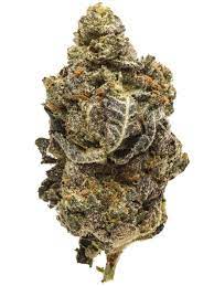 Alien Cookies Cannabis Strain