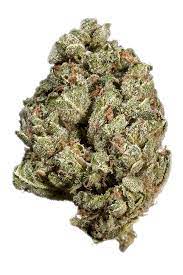 Sour OG Cannabis Strain