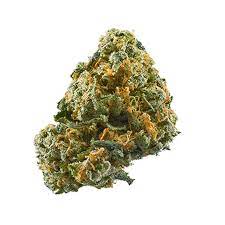 Cheese Marijuana Strain