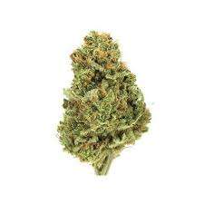 Golden Tiger Cannabis Strain