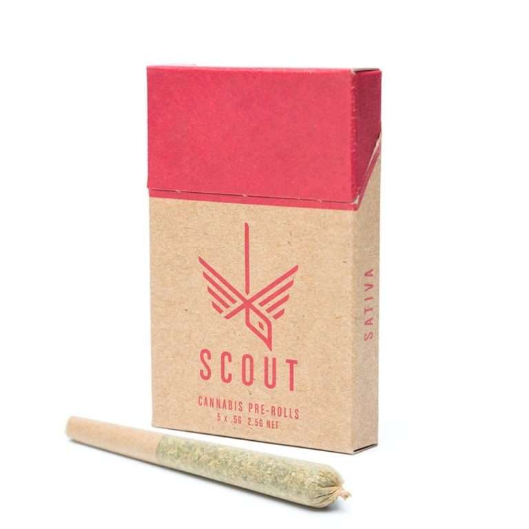 Buy Scout Pre-Roll Pack Online – 0.5g
