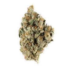 Space Needle Marijuana Strain
