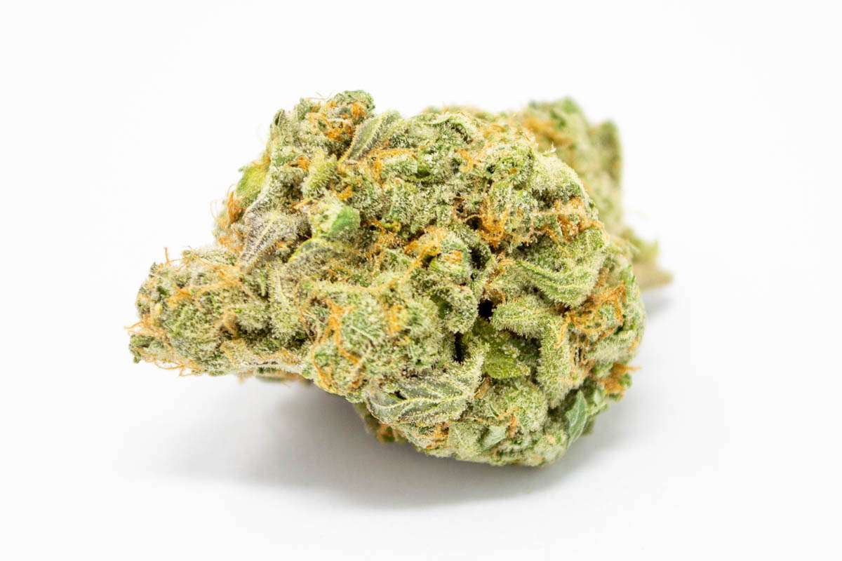 Super Jack Sativa Marijuana Strain