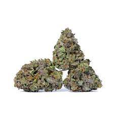 Gas Marijuana Strain