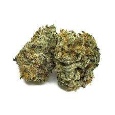Afghan Purple Kush Weed Strain