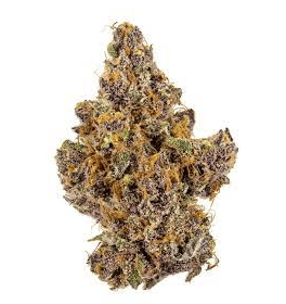 The Purp Cannabis Strain