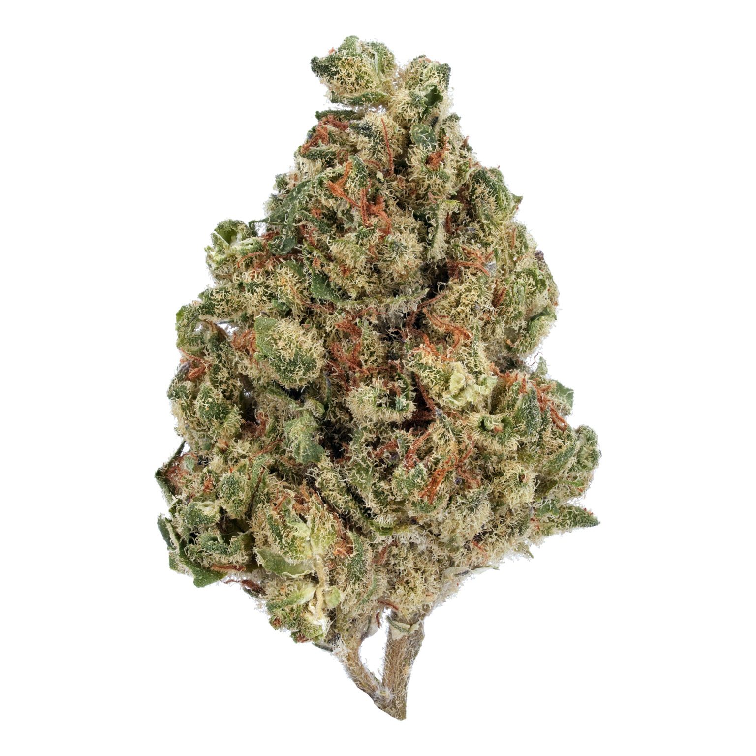 Afghan THCa Marijuana Flower