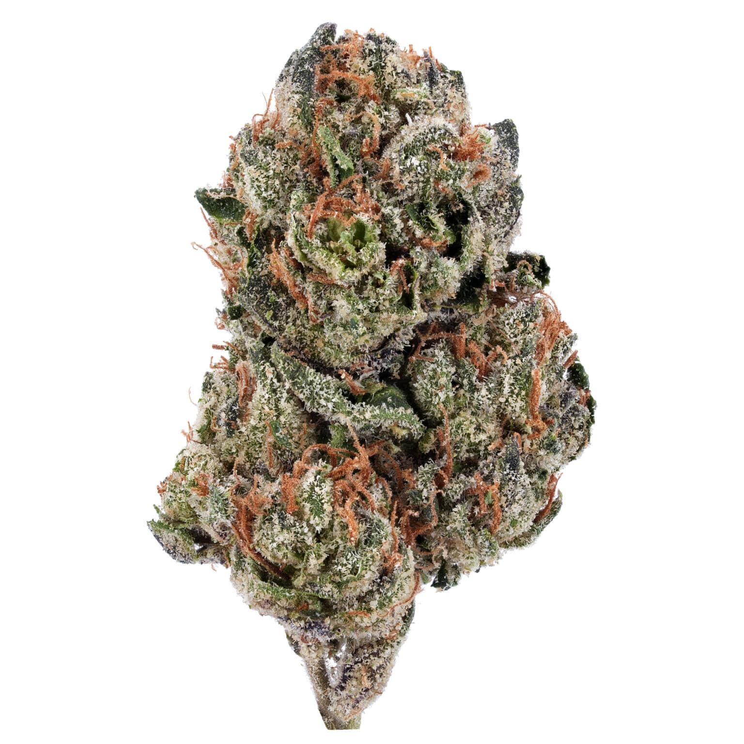 Buy Gelato 41 THCa Flower