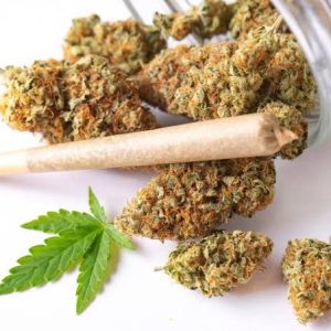 Marijuana Prerolled Joints
