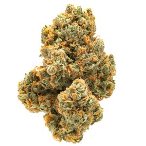 Sativa Cannabis Strains