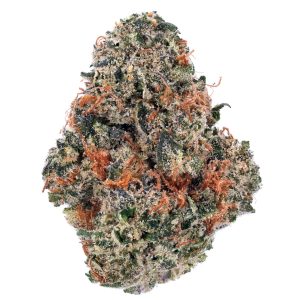 Twisted Terpz Marijuana Strain