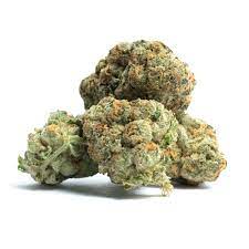 Thin Mint Girl Scout Cookies Weed Strain