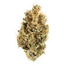 XJ-13 Marijuana Strain